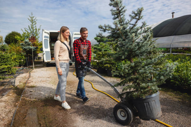 Professional Tree Service in Jones Creek, TX